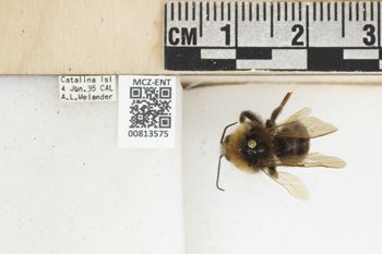Media type: image;   Entomology 813575 Aspect: labels